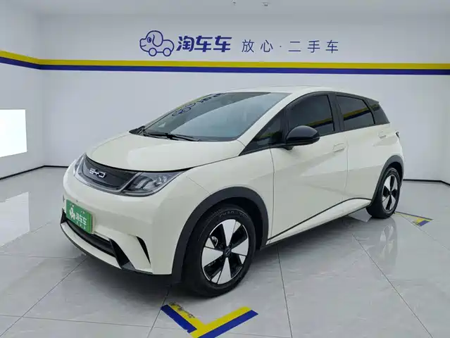 BYD Dolphin 420km, Свобода