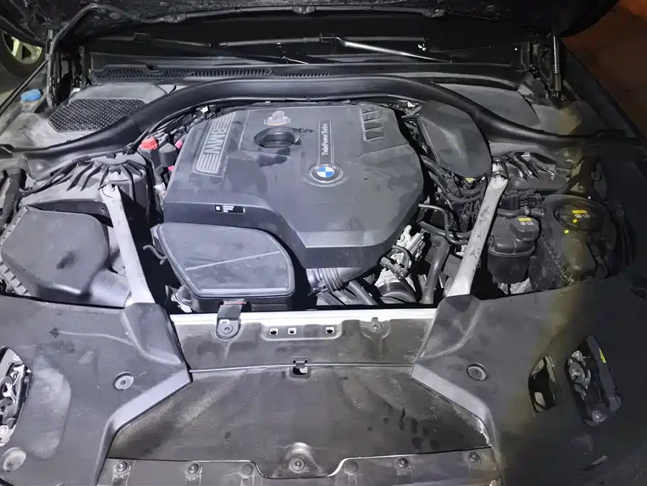 BMW 5 Series 2020 530Li Leading M Sport Package фото 10