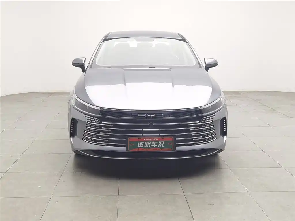 BYD Destroyer 05 2023 Champion Edition DM-i 55KM Luxury фото 3