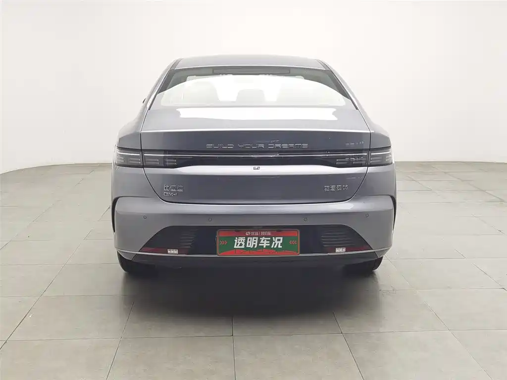 BYD Destroyer 05 2023 Champion Edition DM-i 55KM Luxury фото 4