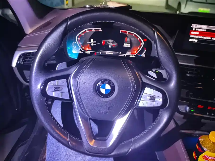 BMW 5 Series 2020 530Li Leading M Sport Package фото 15
