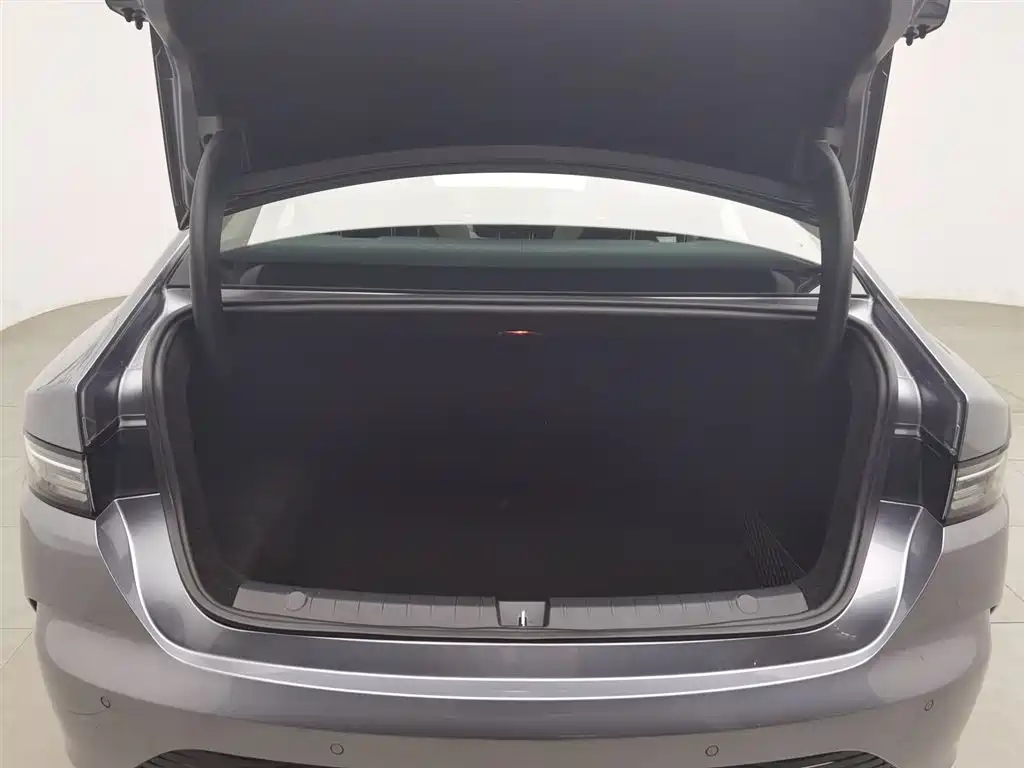 BYD Destroyer 05 2023 Champion Edition DM-i 55KM Luxury фото 16