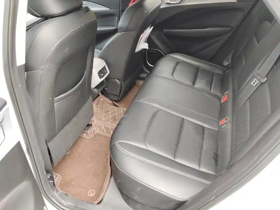 Geely Geometry C 2020 2020 Model Premium Range Edition 550KM C++