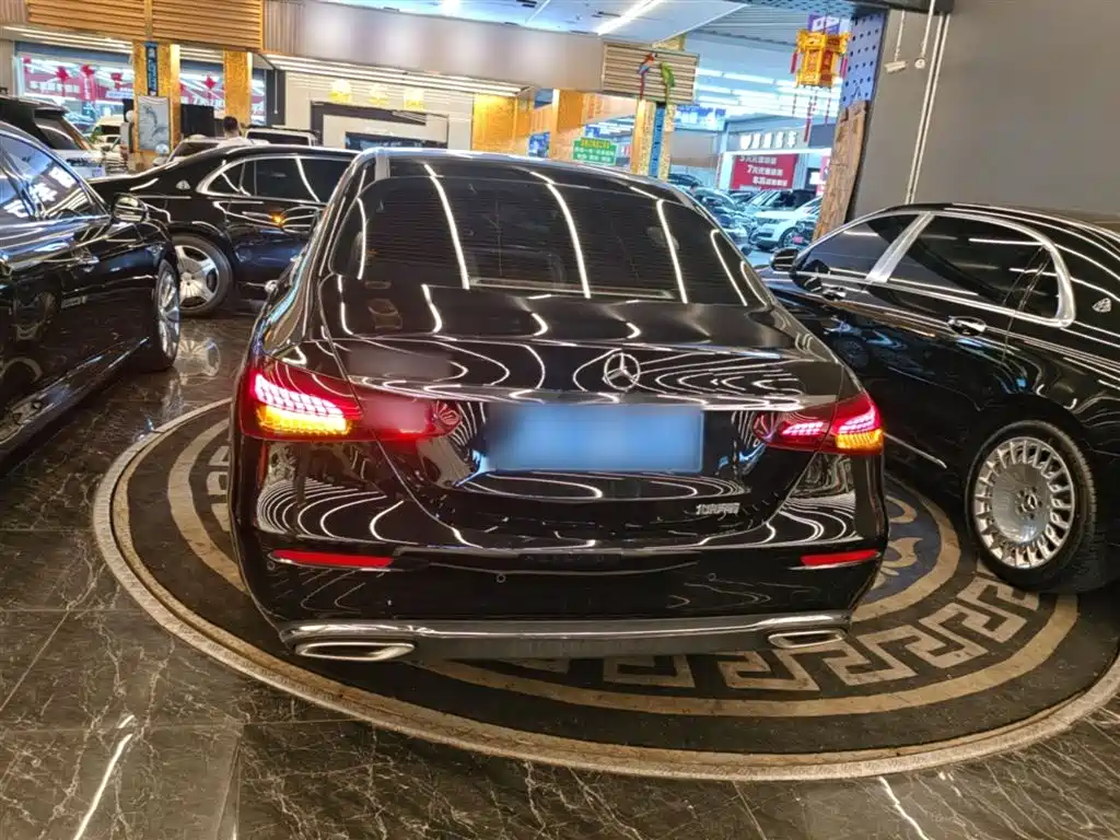 Mercedes-Benz E-Class 2023 E 300 L Luxury фото 6