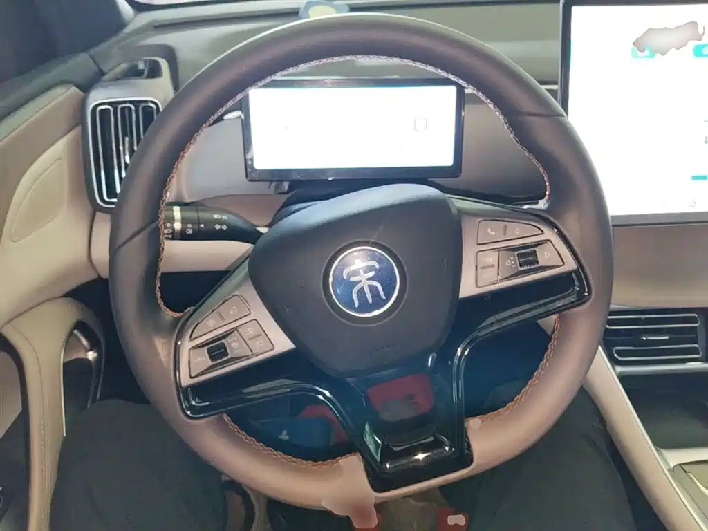 BYD Song Pro New Energy 2023 Champion Edition DM-i 110KM Excellence фото 11