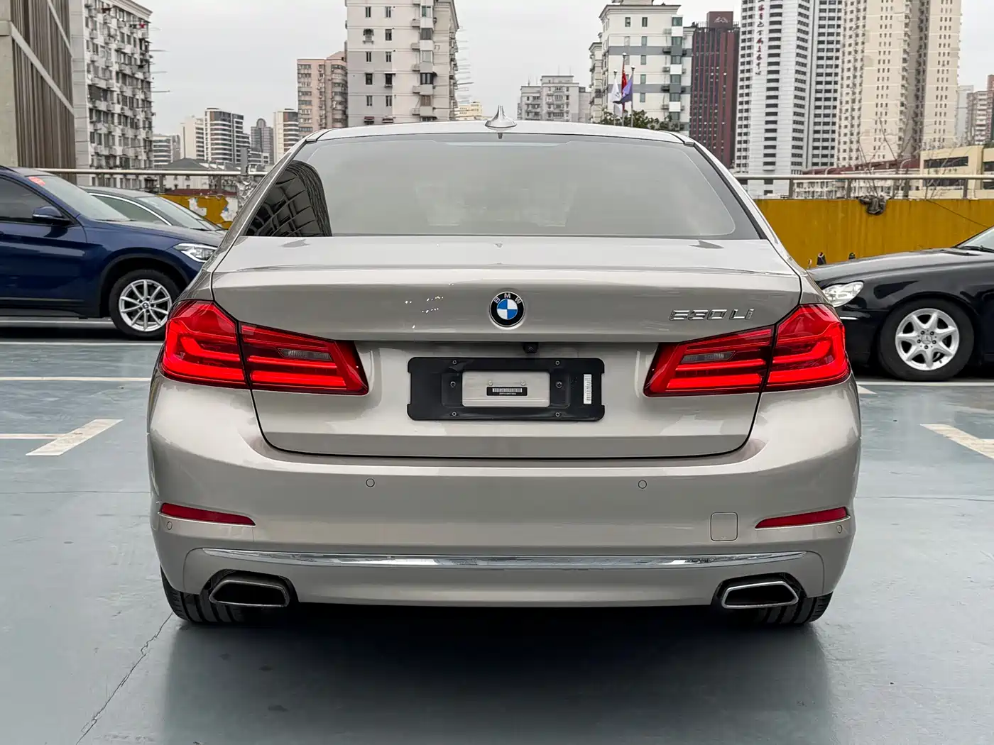 BMW 5 Series 2019 530Li Premium Luxury Package фото 4