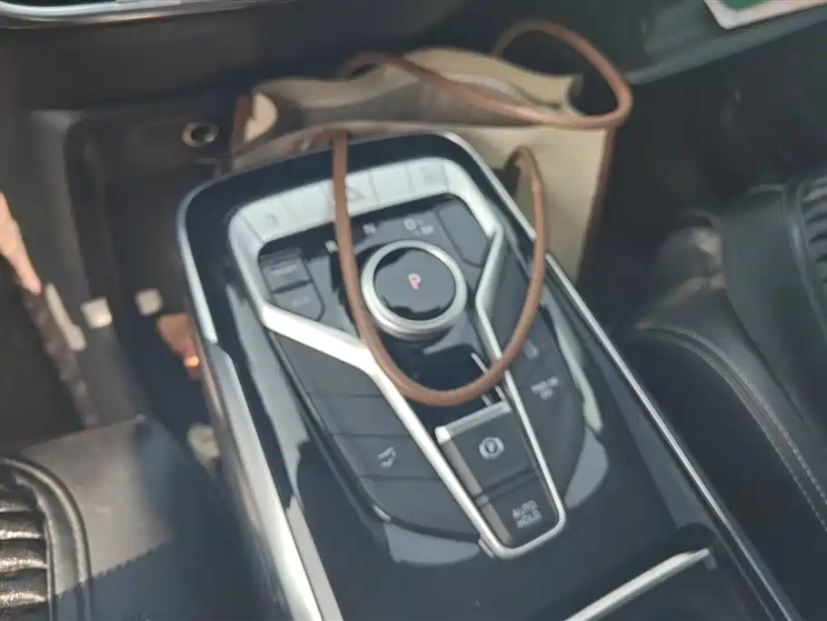 SAIC MAXUS CHASE G20