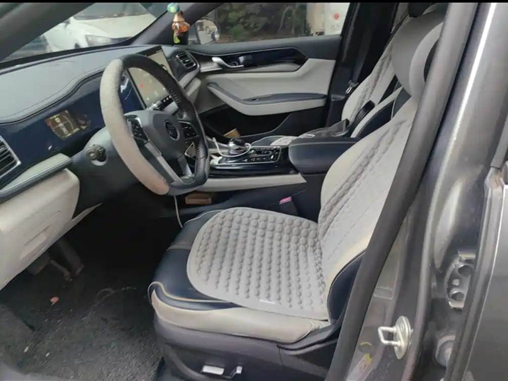BYD Qin PLUS 2021 DM-i 55KM Flagship фото 12