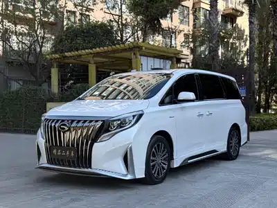 Trumpchi M8