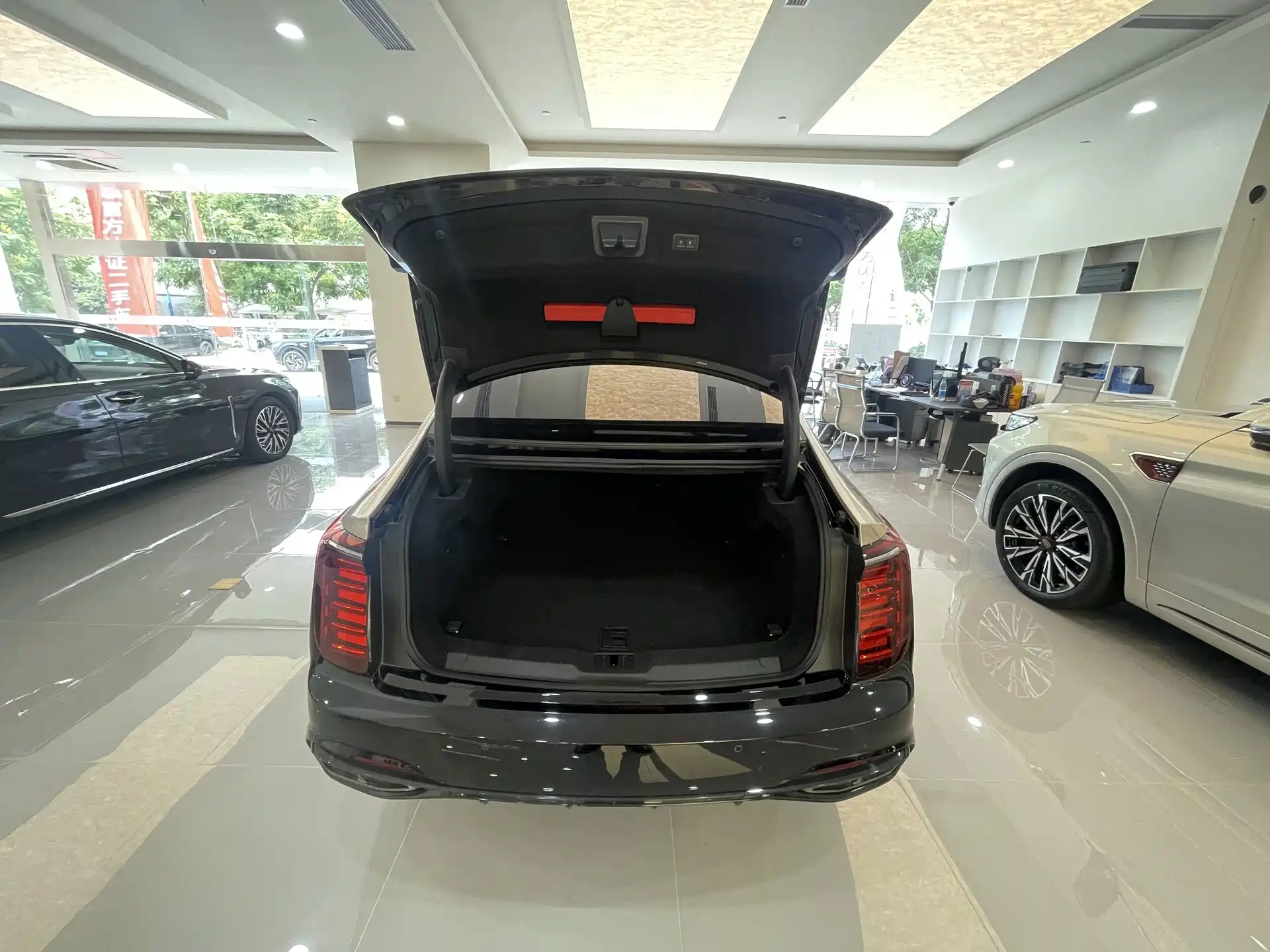 Photo 11 - Hongqi H9