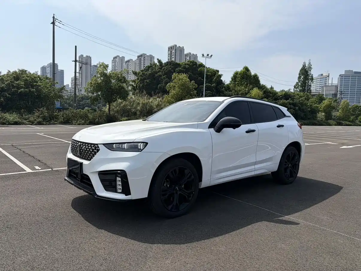 WEY VV7 2020 2020 Model 2.0T Flagship
