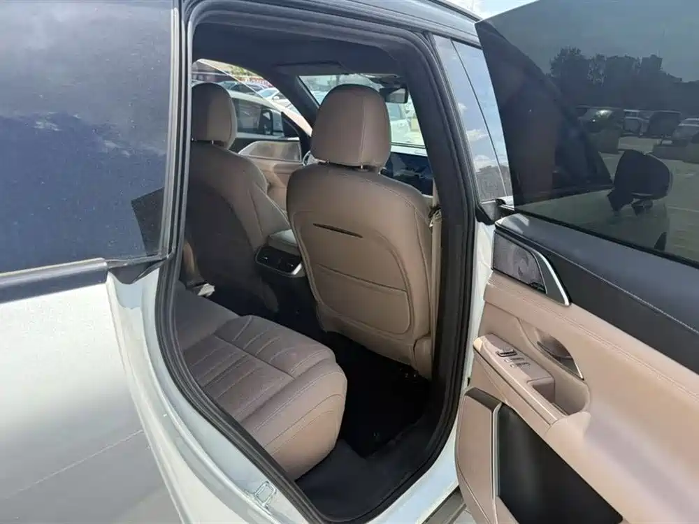 Фото 4 - XPeng G9