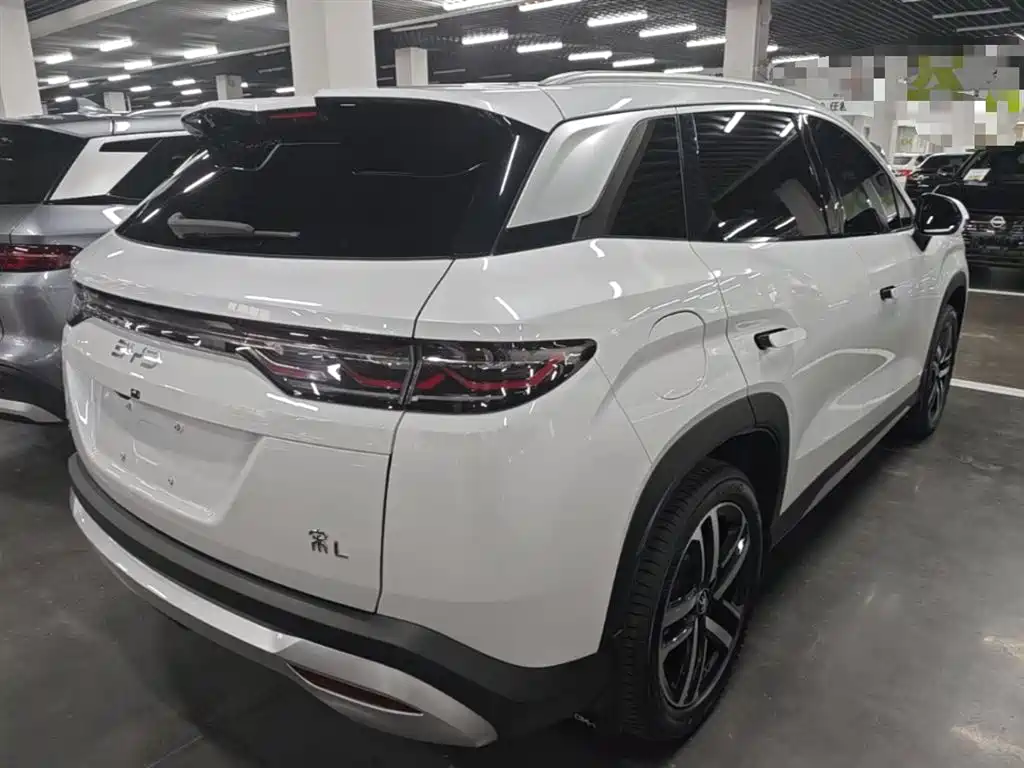 BYD Song L DM-i 2024 112km Leading Edition фото 7