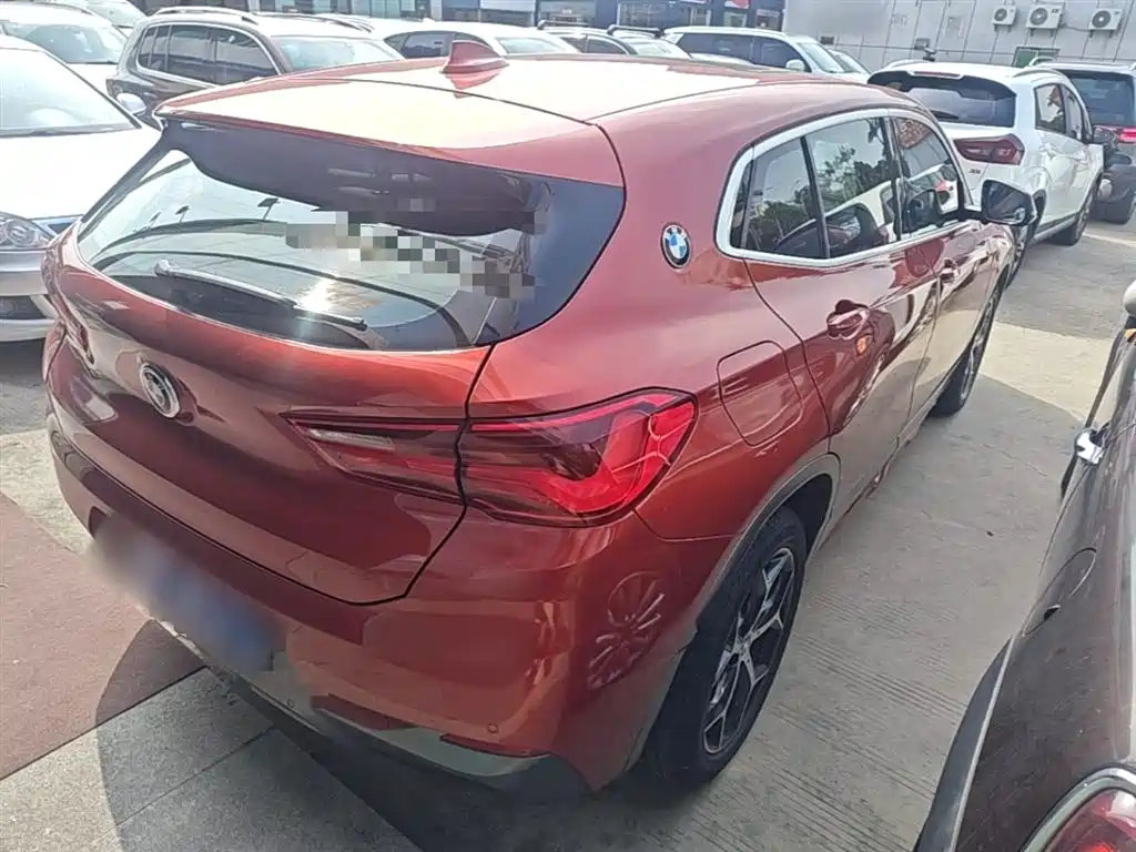 BMW X2 (Import) 2019 sDrive20i M Off-Road Package China VI фото 7