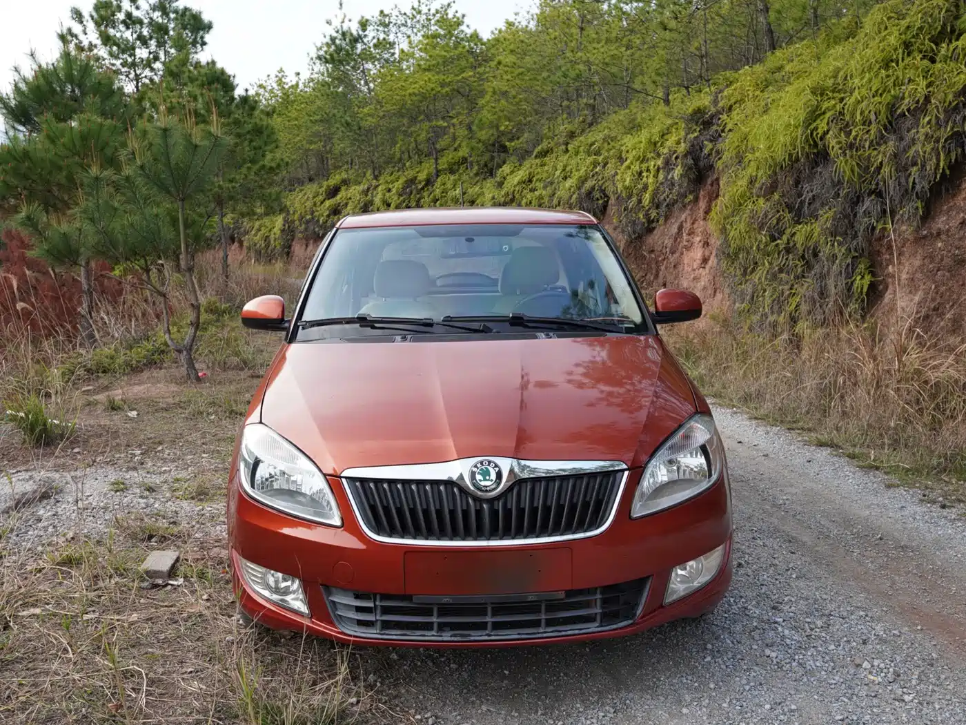 Škoda Fabia 2012 1.4L Manual Crystal Edition фото 17