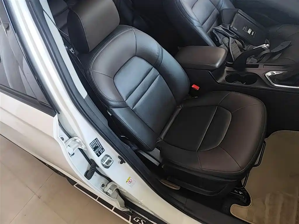 GAC Trumpchi Trumpchi GS4 2015 200T G-DCT Luxury Edition фото 25