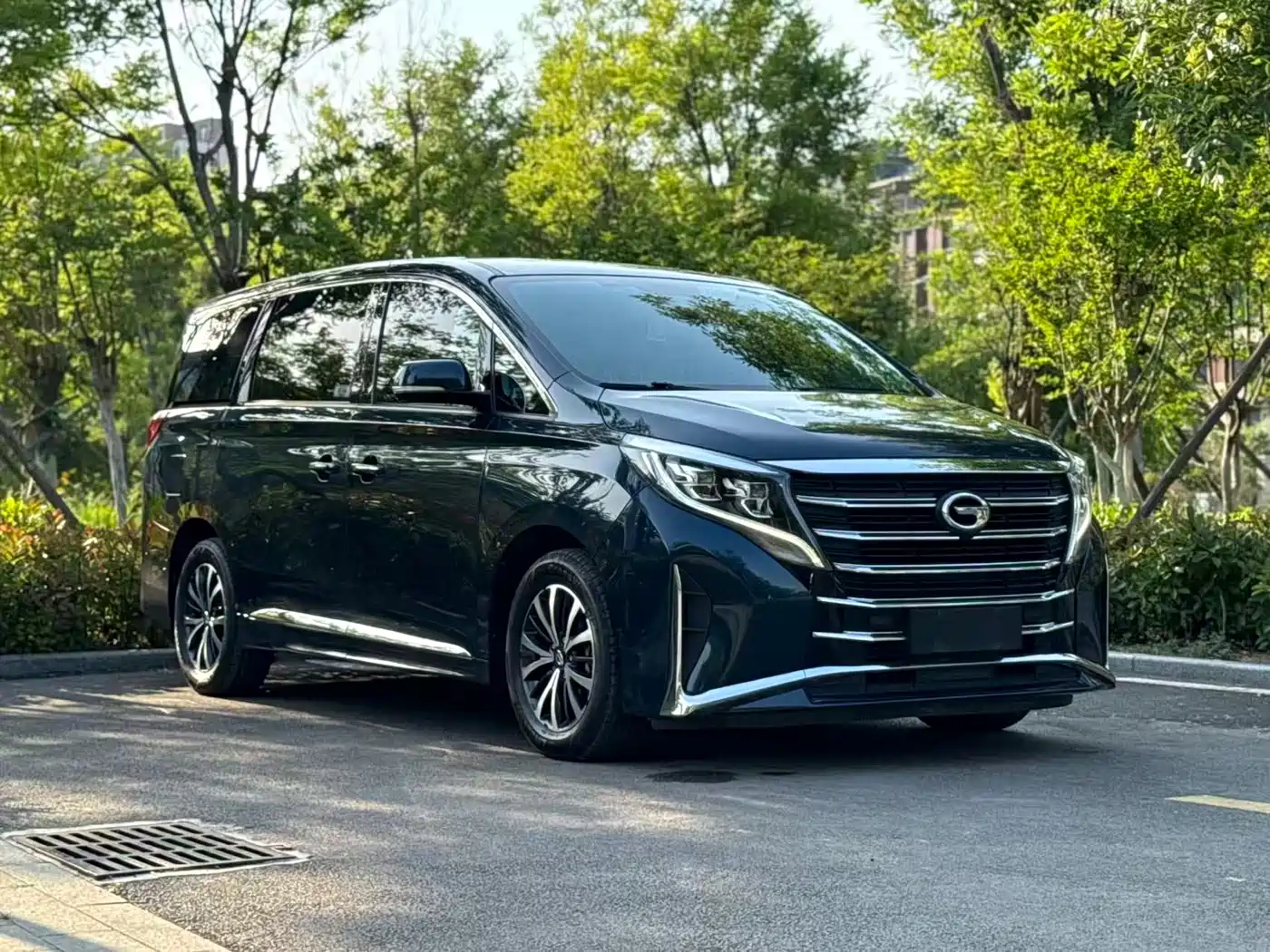 GAC Trumpchi Trumpchi M8 2021 Leading Show Series 390T Premium Edition фото 3