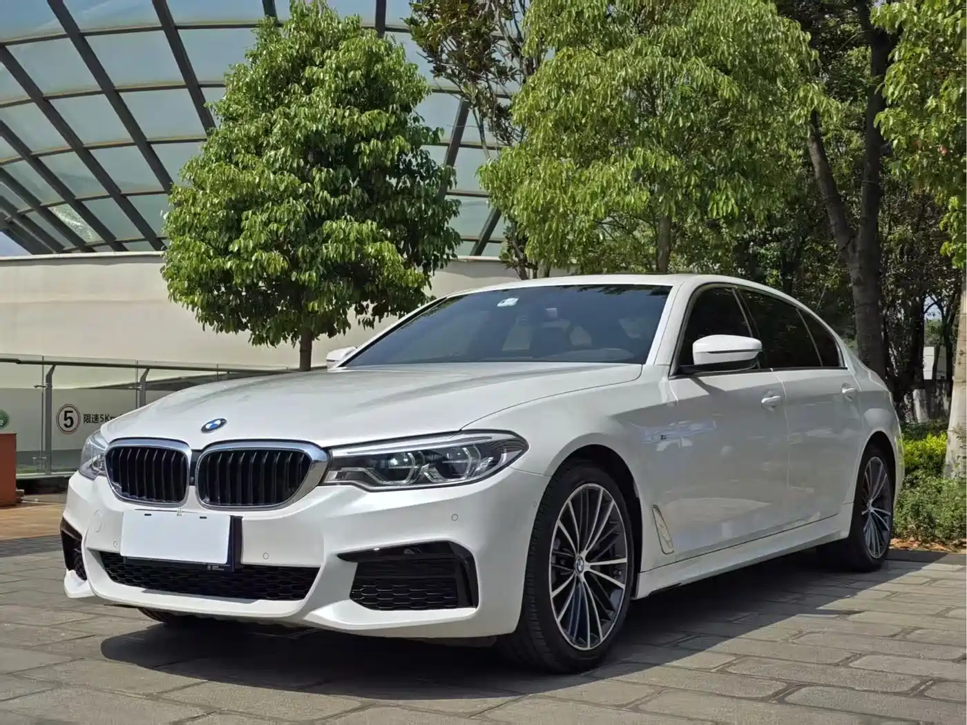 BMW 5 Series 2020 530Li Leading M Sport Package