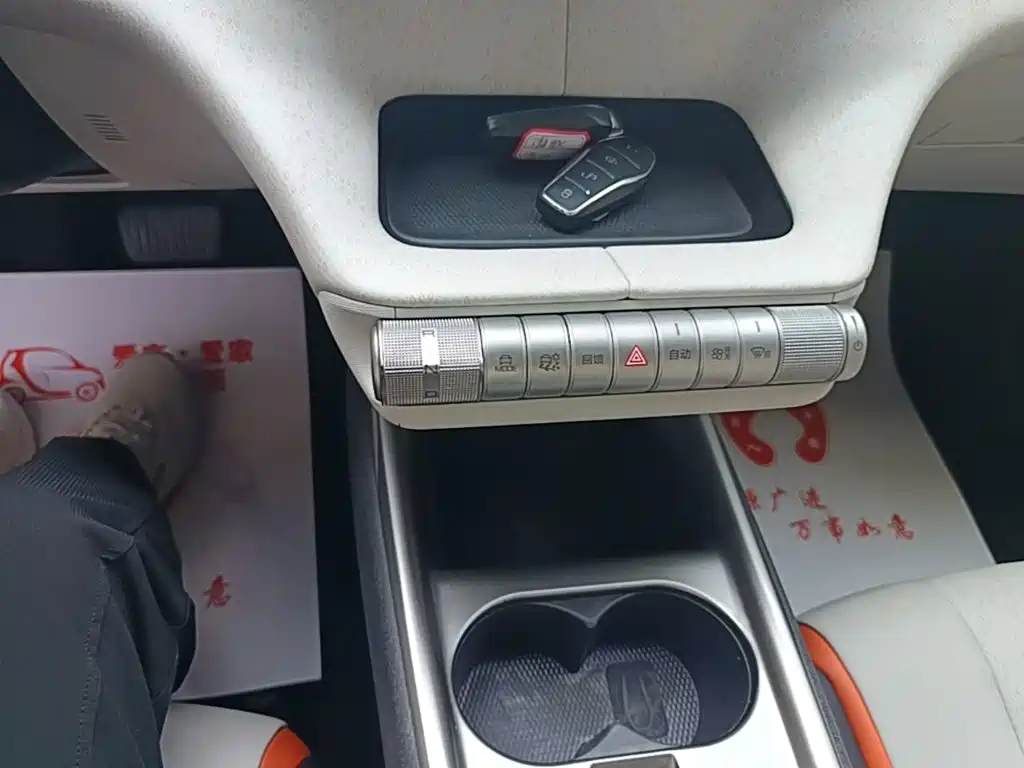 BYD Dolphin 2021 2021 405km Freedom Edition