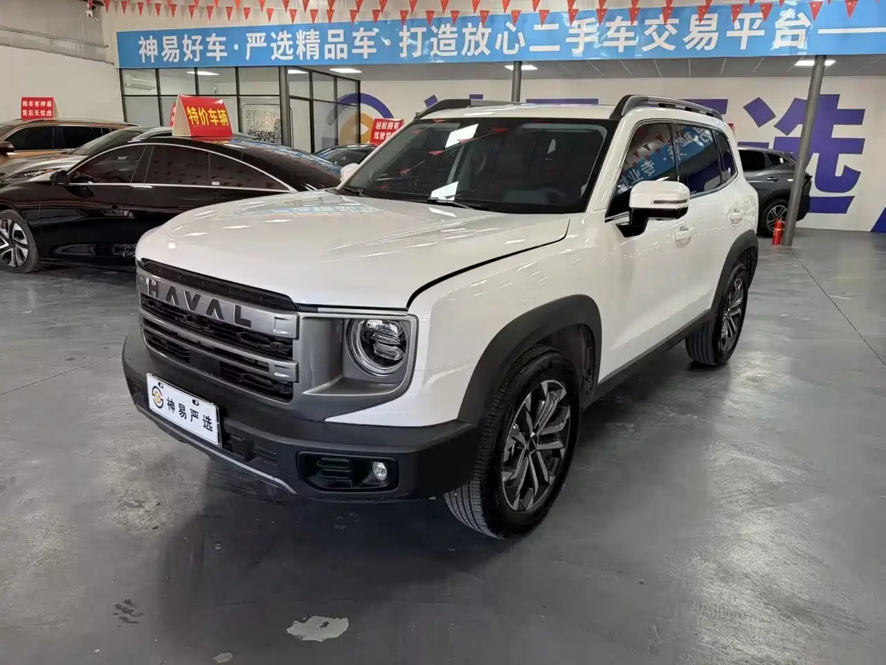 Haval Big Dog 2024 1.5T DCT Border Collie Edition