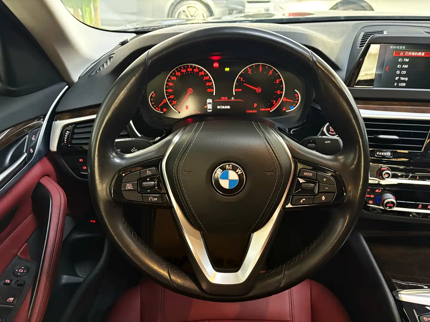 BMW 5 Series 2018 528Li Launch Special Edition фото 10