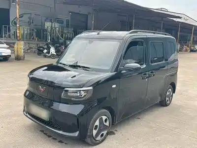 Wuling Sunshine