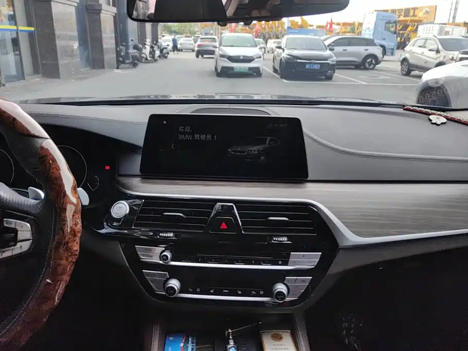 BMW 5 Series 2019 530Li Leading Luxury Package фото 13
