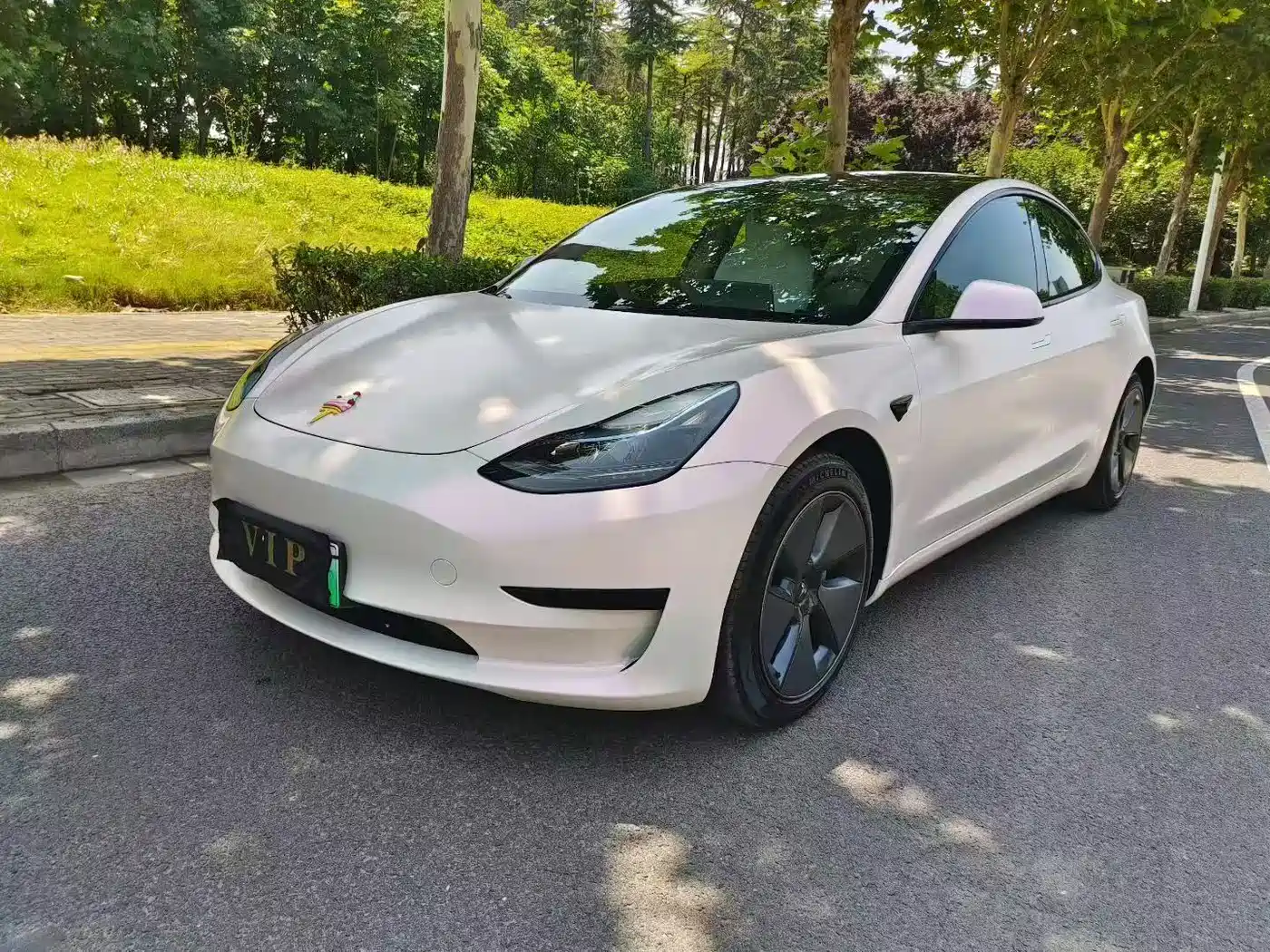 Tesla Model 3 2022 Model Rear-Wheel Drive Version