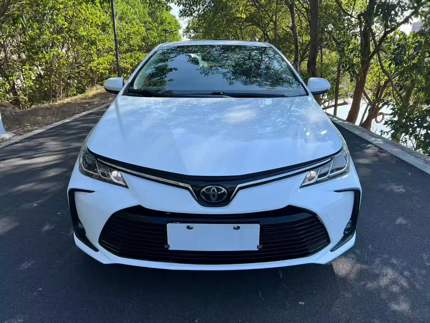 Toyota Corolla 2019 1.2T S-CVT GL-i Elite Edition фото 2