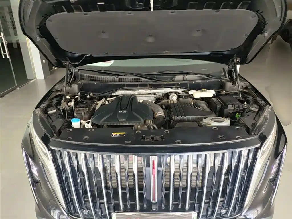 Hongqi HS7 PHEV 2024 2.0T PHEV 4WD Flagship Edition 6-seater фото 20