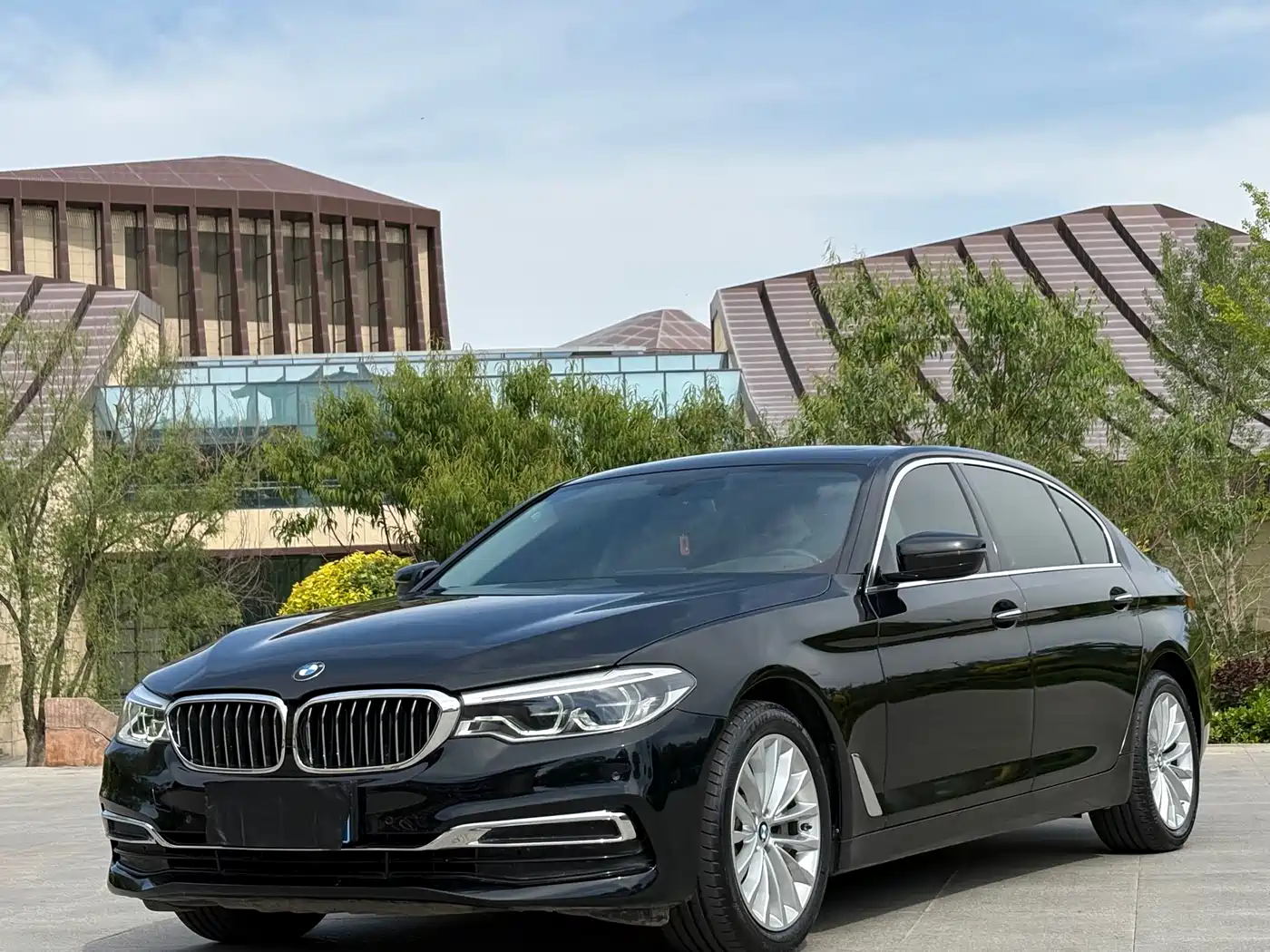 BMW 5 Series 2020 530Li Leading Luxury Package фото 3