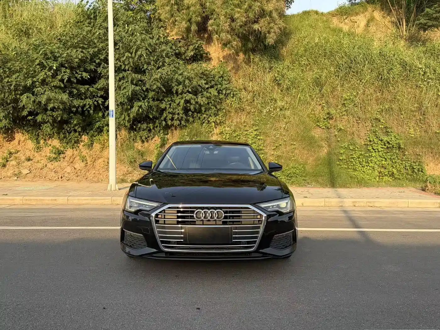 Audi A6L 2020 40 TFSI Luxury Elegance фото 2