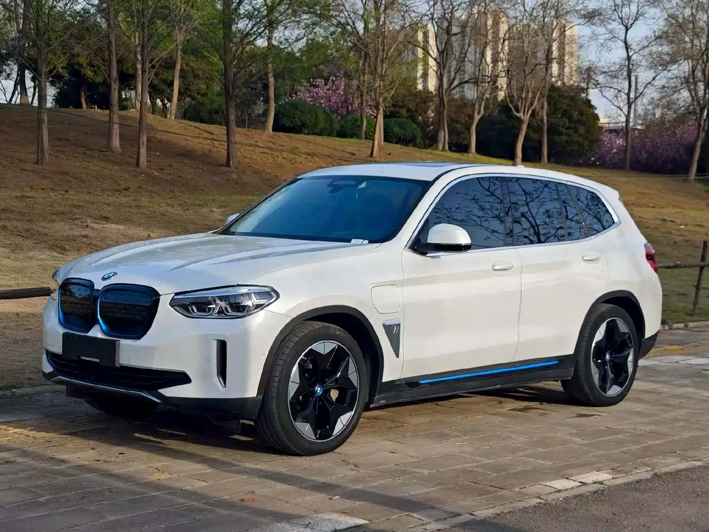 BMW iX3 2021 Pioneer