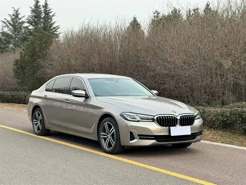 BMW 5 Series 2022 530Li Leading Luxury Package