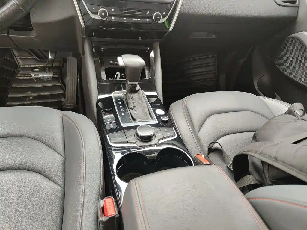 Borgward BX5 2018 2017 Model 20TGDI Automatic 2WD Vanguard Type