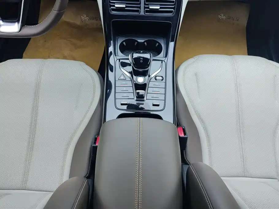 BYD Qin PLUS 2024 Glory Edition DM-i 55KM Leading фото 16