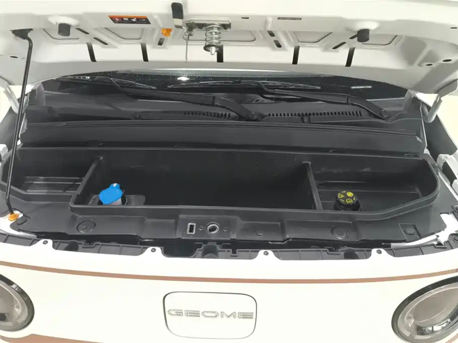 Geely Galaxy Panda 2024 Panda mini 200km Endurance Bear фото 10