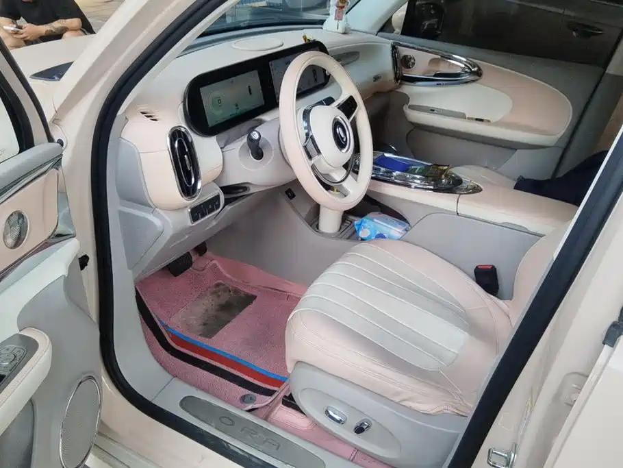 Ora Ballet Cat 2024 2023 401km Premium Model