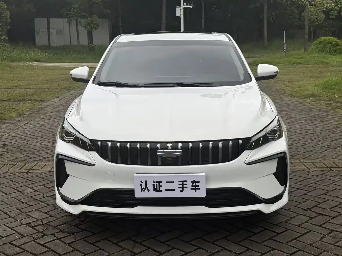 Фото 2 - Geely Binrui