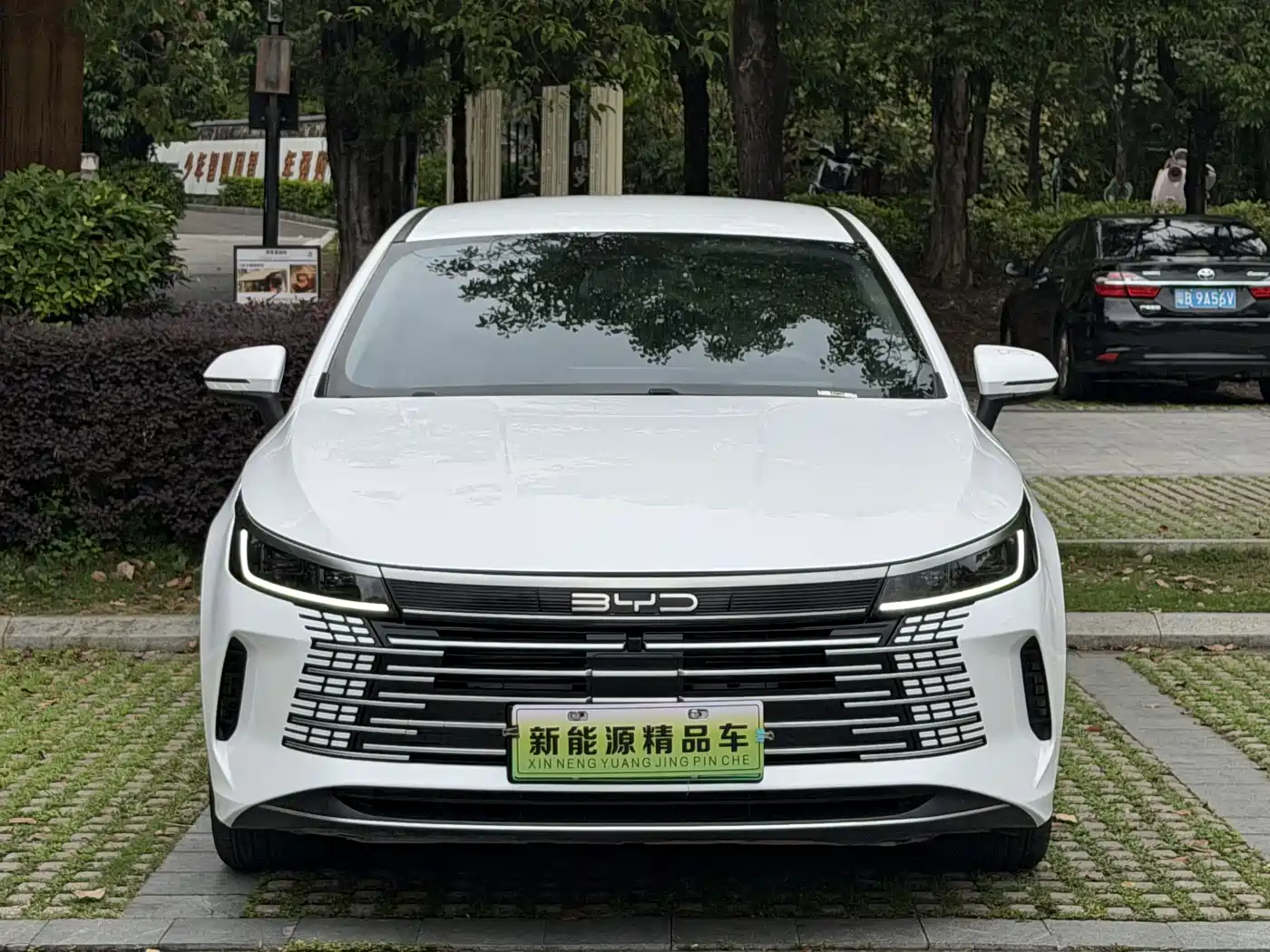 BYD Destroyer 05 2024 Glory Edition DM-i 55KM Luxury фото 6