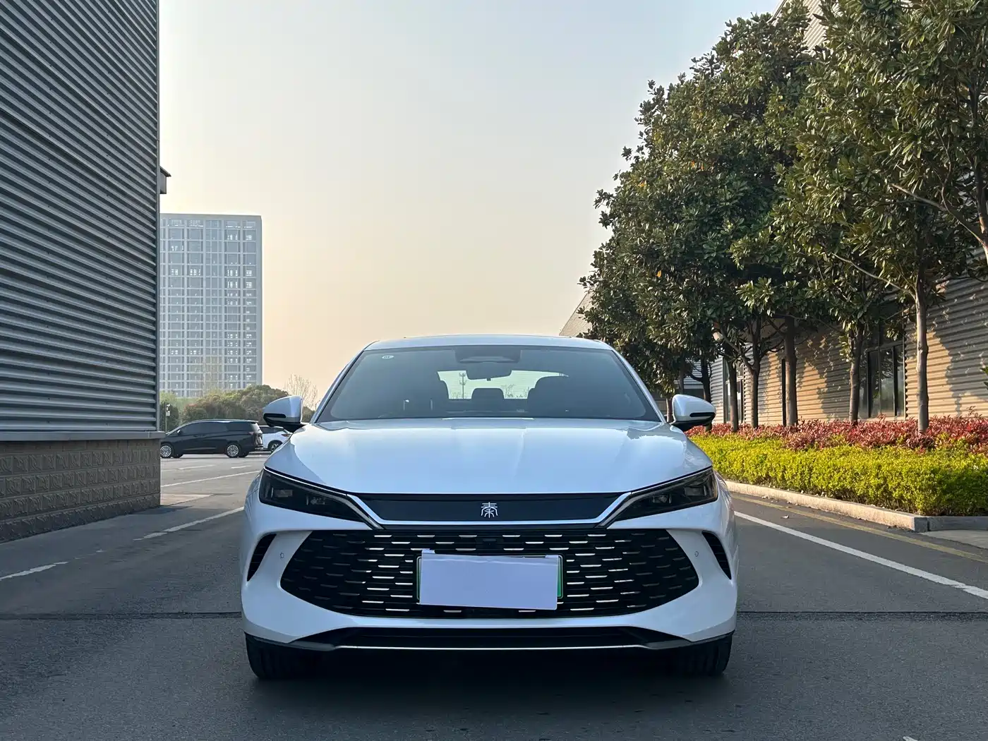 BYD Qin L 2025 DM-i Smart Drive Edition 120KM Surpassing фото 3