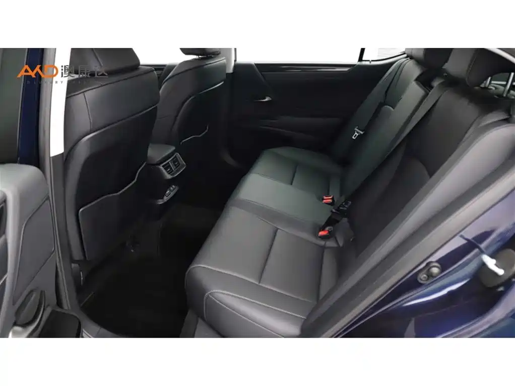 Lexus ES 2020 Model 260 Excellence Edition фото 7