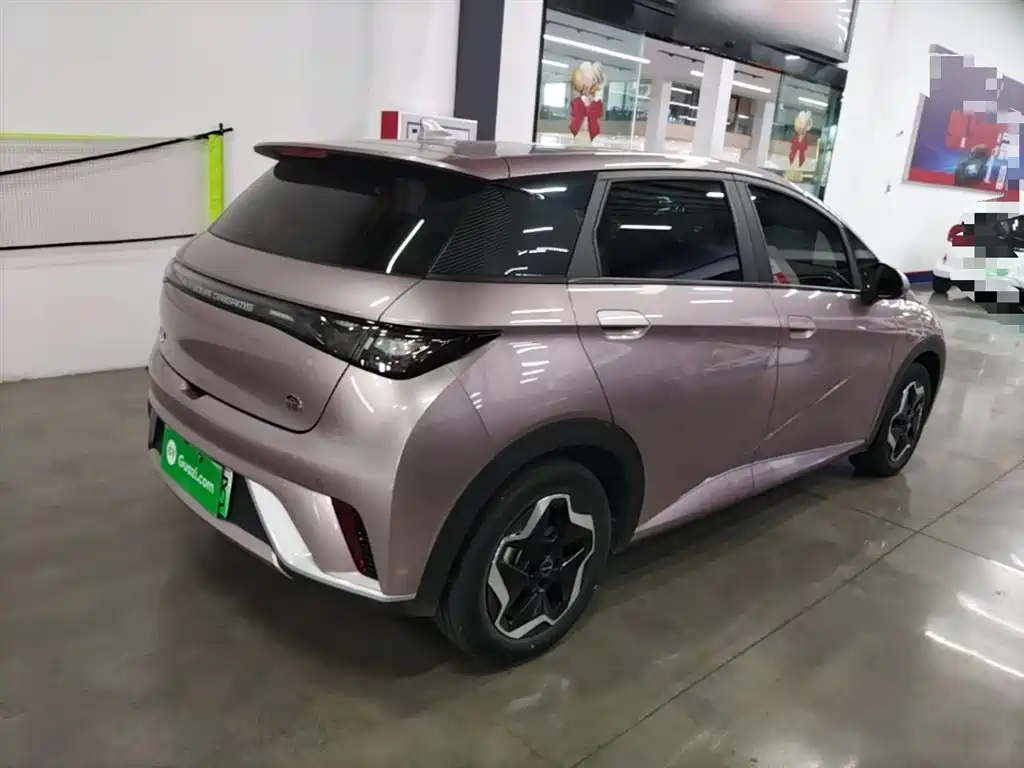BYD Dolphin 2021 Model 405km Fashion Edition фото 5