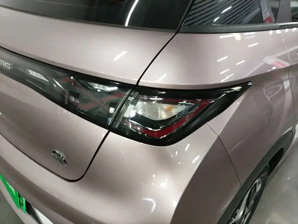 BYD Dolphin 2021 Model 405km Fashion Edition фото 24