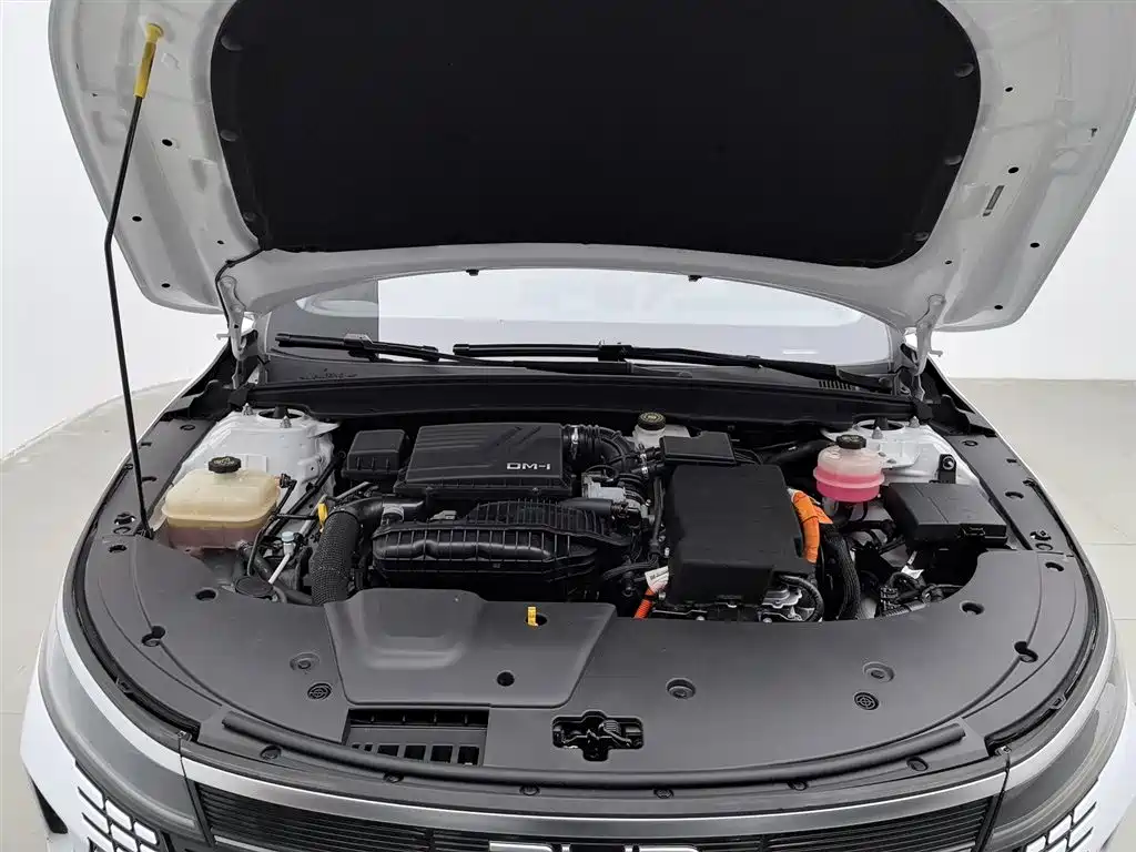 BYD Destroyer 05 2022 DM-i 55KM Premium фото 6