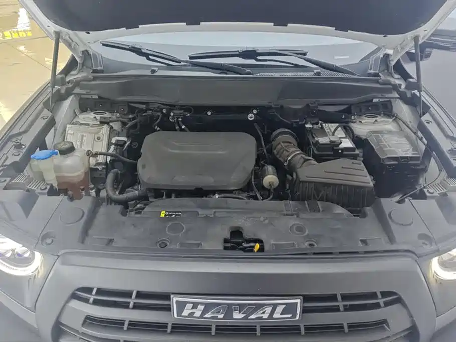 Haval Big Dog 2022 1.5T DCT 2WD Malinois Hunting Edition фото 10