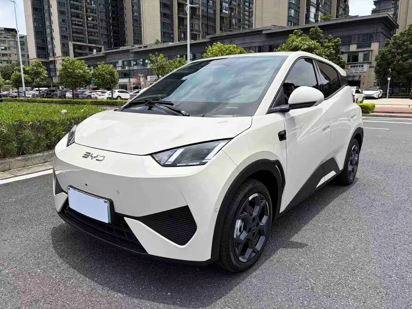 BYD Seagull 2025 Smart Drive Edition 305km Freedom Version