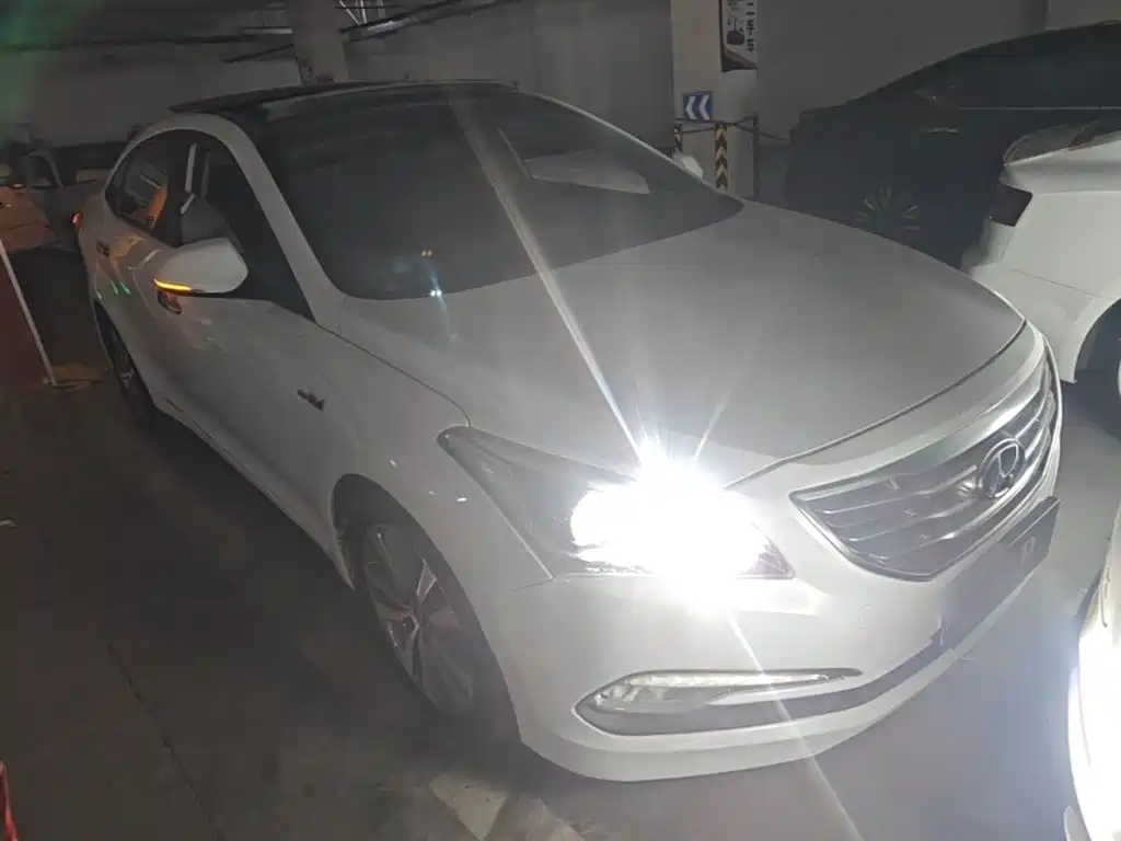 HYUNDAI NAME PICTURE