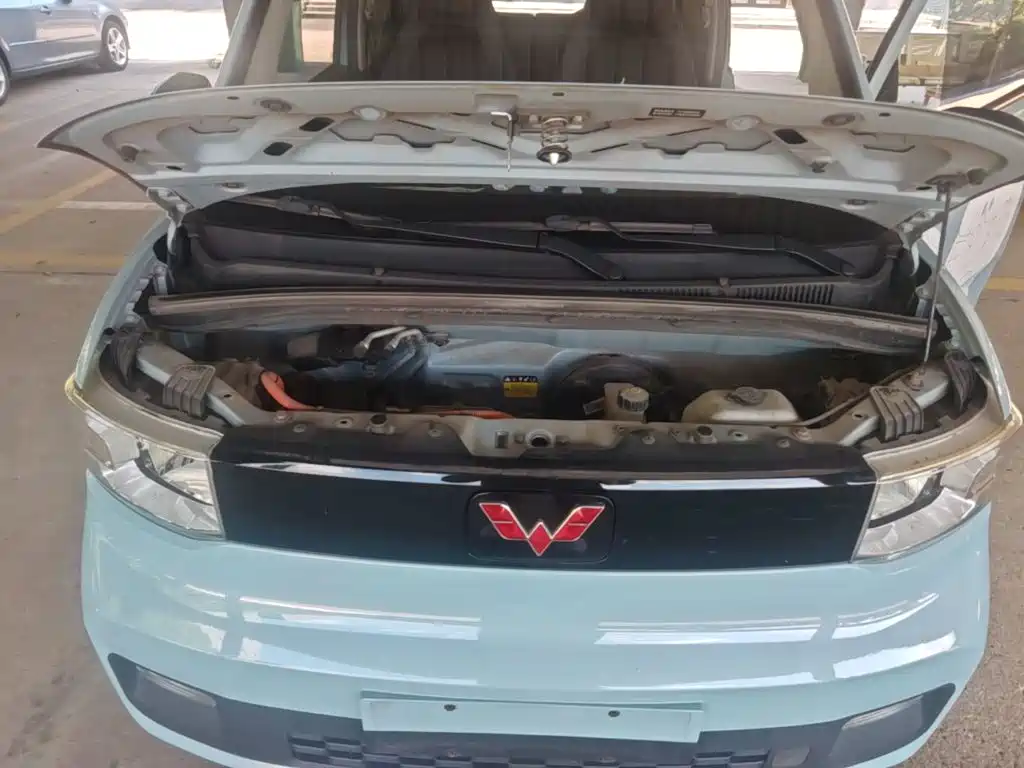 Фото 20 - Wuling Motors Hongguang MINIEV