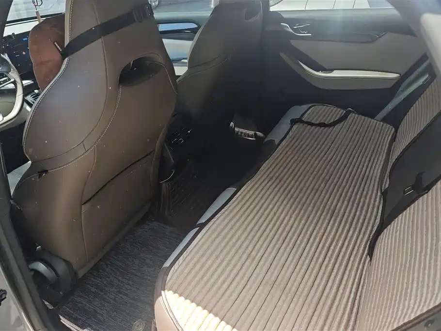 BYD Qin PLUS 2023 Champion Edition DM-i 55KM Leading фото 11